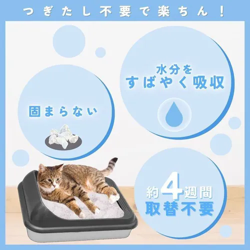 �W���C�y�b�g �y6�z�V���J�T���h�N���b�V�� 4.6L_4