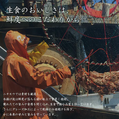 生ずわい蟹棒ポーション1kg(40〜60本入) 【時間指定不可】【代引不可】【同梱不可】_4