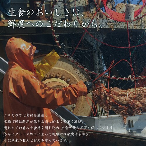 特大生ずわい蟹ハーフポーション750g 【時間指定不可】【代引不可】【同梱不可】_4