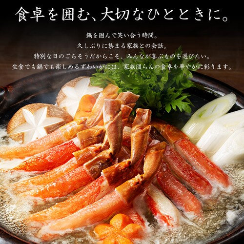 特大生ずわい蟹ハーフポーション750g 【時間指定不可】【代引不可】【同梱不可】_9