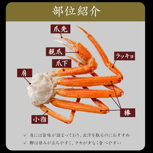 ボイルずわい蟹 肩(7〜8肩入) 【時間指定不可】【代引不可】【同梱不可】_9