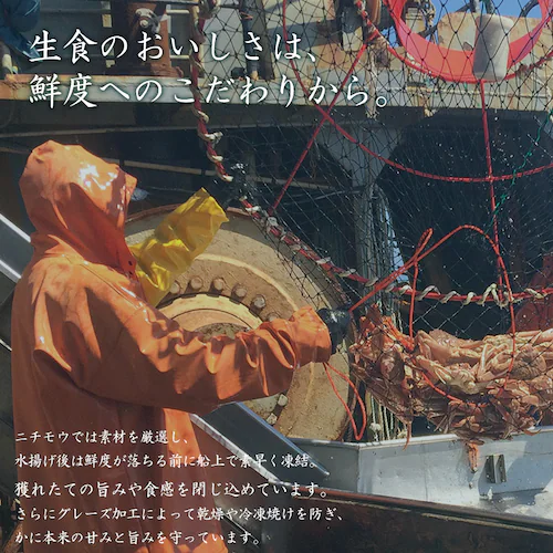 ボイルたらば蟹シュリンク 【時間指定不可】【代引不可】【同梱不可】_4