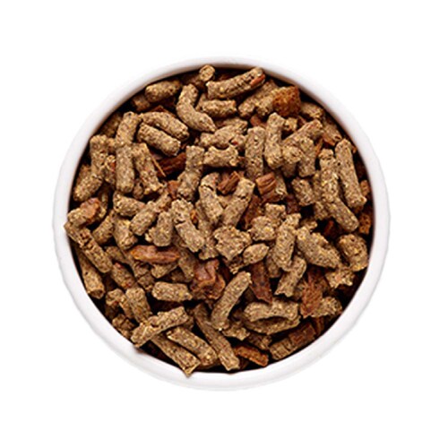 �\�E�����C�g SoulMate �\�E�����C�g CAT �x�C�N�h&�G�A�h���C�t�[�h �`�L�� 1.6kg_2