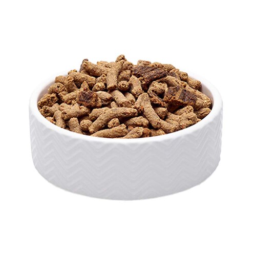 �\�E�����C�g SoulMate �\�E�����C�g CAT �x�C�N�h&�G�A�h���C�t�[�h �V�[�t�[�h 1.6kg_1