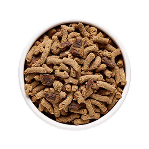 �\�E�����C�g SoulMate �\�E�����C�g CAT �x�C�N�h&�G�A�h���C�t�[�h �V�[�t�[�h 1.6kg_2