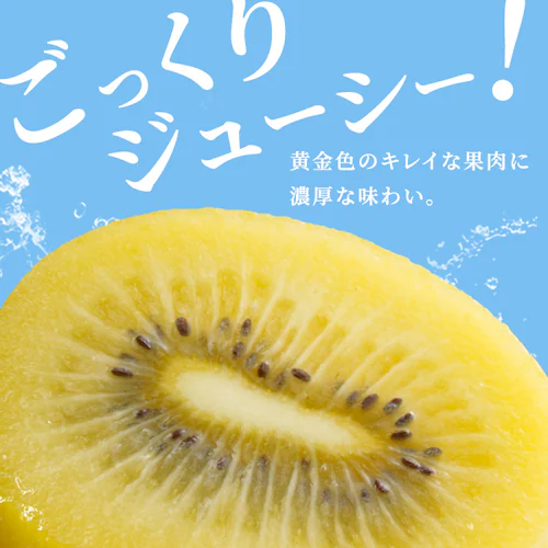 キウイの大っきいたまご(さぬきゴールド)ご自宅用 【時間指定不可】【代引不可】【同梱不可】_2