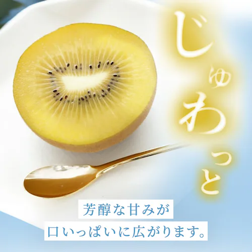 キウイの大っきいたまご(さぬきゴールド)ご自宅用 【時間指定不可】【代引不可】【同梱不可】_5