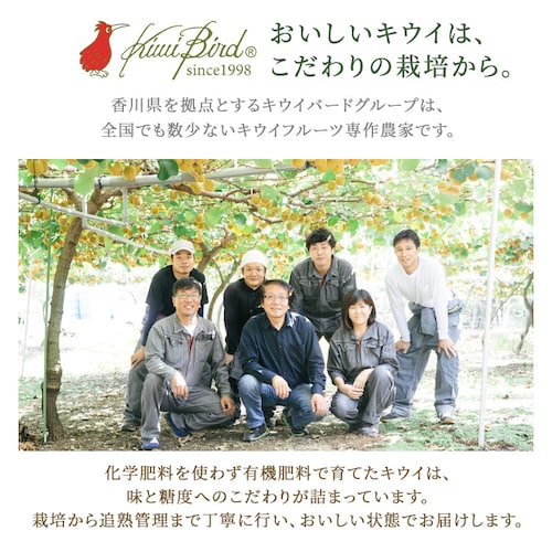 キウイの大っきいたまご(さぬきゴールド)ご自宅用 【時間指定不可】【代引不可】【同梱不可】_6