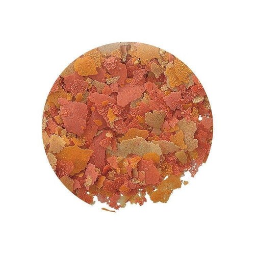 金魚元気 金魚元気 水キレイフレーク 50g_2