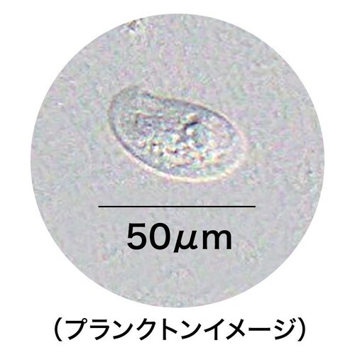メダカ元気 メダカ元気 生きたプランクトンフード_3