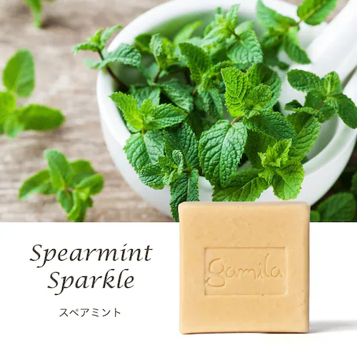 GAMILA SECRET ガミラシークレット 115g スペアミント_2