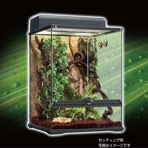 ExoTerra ジャングルヴァインL PT-3086_3