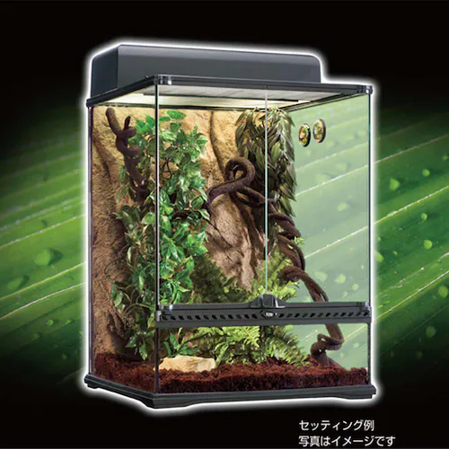 ExoTerra ジャングルヴァインS PT-3085_3