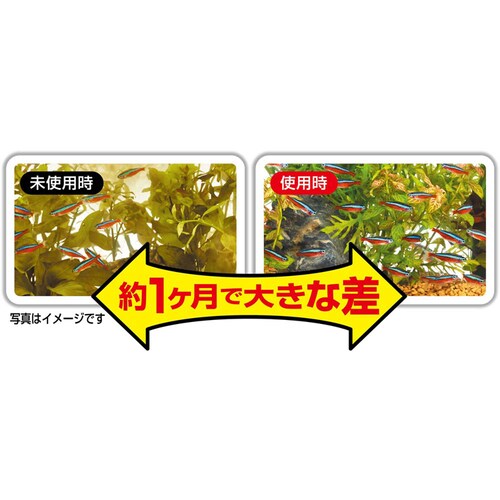 GEX ベストサンド 0.6L_2