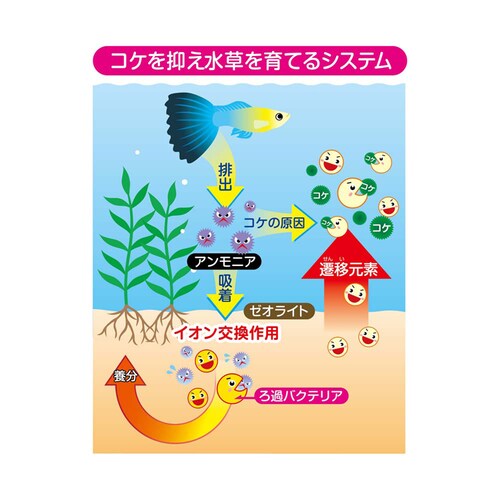 GEX ベストサンド 0.6L_3