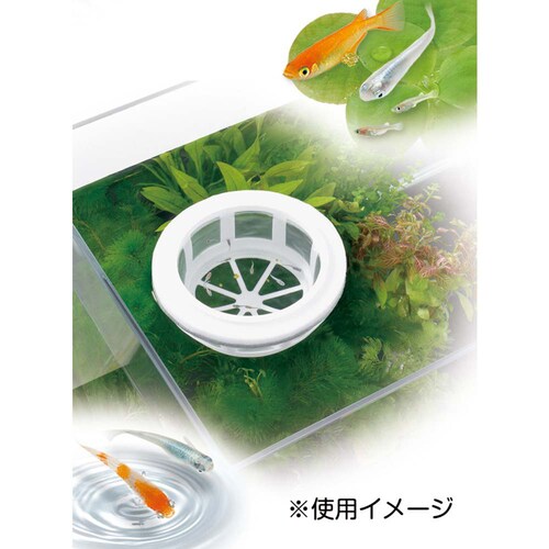 メダカ元気 メダカ元気育成メッシュ丸型_1