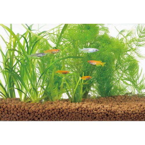 GEX メダカ水景 ろ過する赤玉土 小粒 2.5L_5