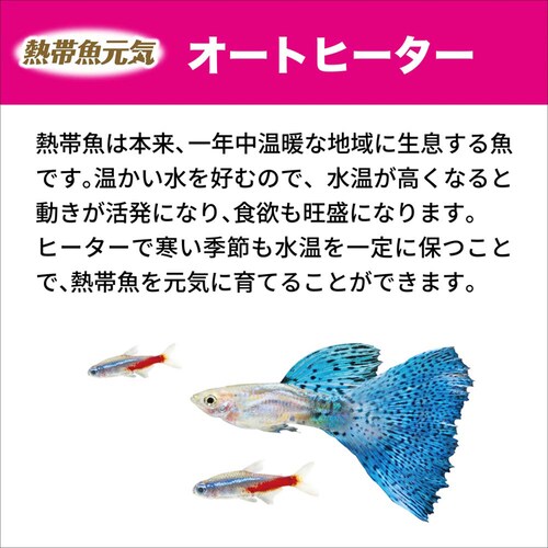 GEX 熱帯魚元気 AUTO HEATER SH80_6