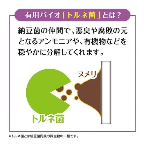 ヌメリトルネード 【3個セット】ヌメリトルネード 排水管洗浄タブレット 6003800_7