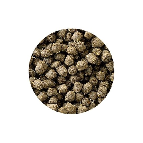 GEX フトアゴヒゲトカゲの昆虫ブレンドフード 125g_2