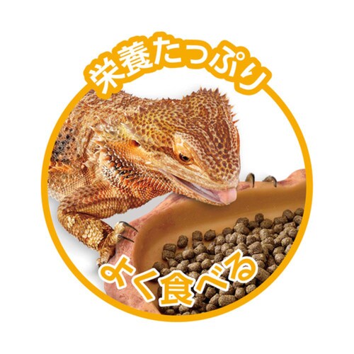 GEX フトアゴヒゲトカゲの昆虫ブレンドフード 125g_3
