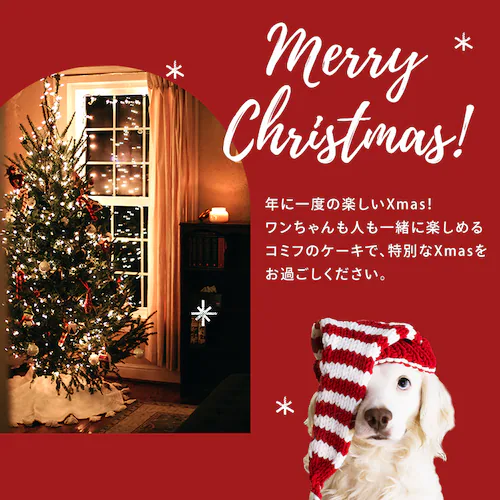 �P�[�L �� �N���X�}�X �N���X�}�X�P�[�L �p�[�e�B�[ �R�~�t Xmas�P�[�L�yTD�z�y����s�z_1