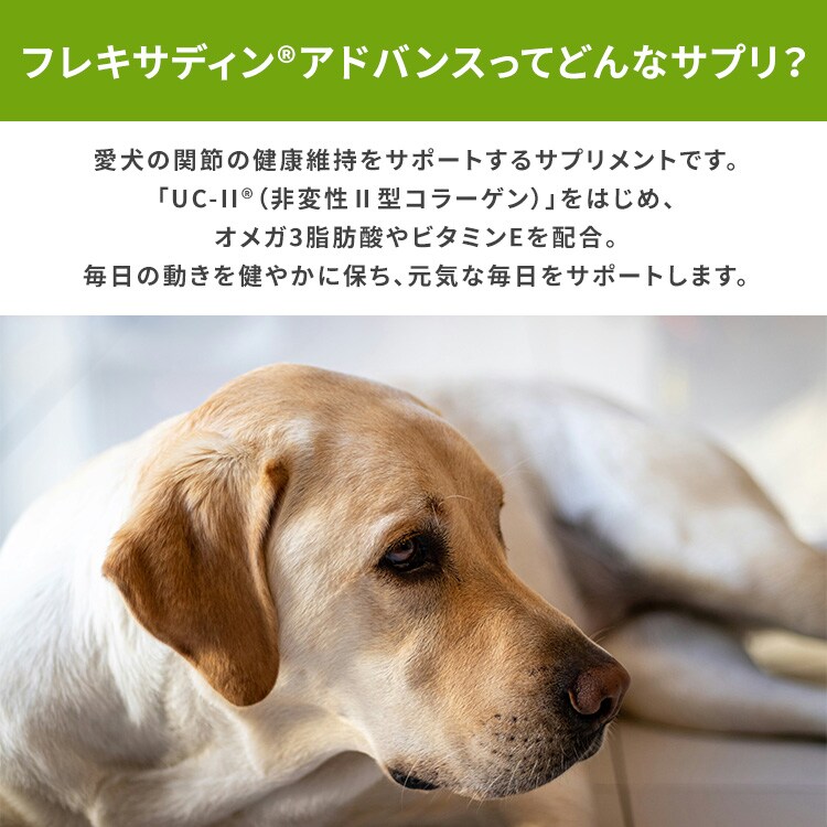 フレキサディンアドバンス 犬用 7365069│アイリスオーヤマ公式通販