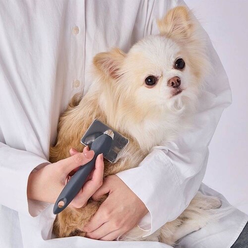 Petio ���L�p FIXCARE �s���悪�D��������₷�� �\�t�g�X���b�J�[�u���V �~�j W27700_5