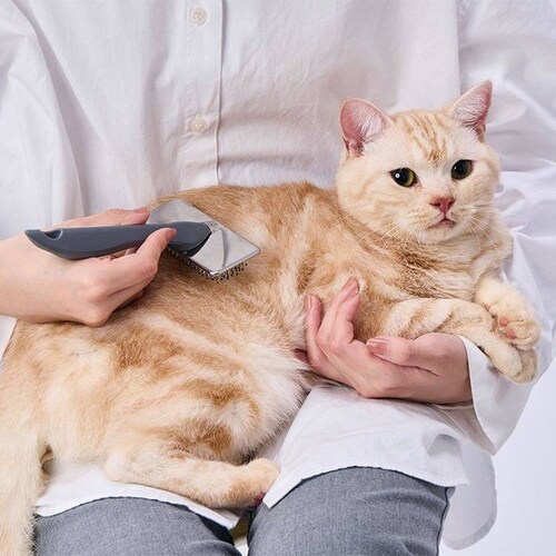 Petio 犬猫用 FIXCARE ピン先が優しく握りやすい ソフトスリッカーブラシ S W27701_7