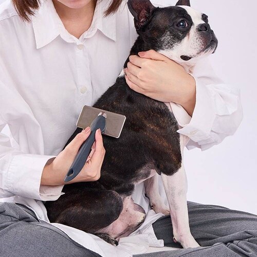 Petio 犬猫用 FIXCARE ピン先が優しく握りやすい ハードスリッカーブラシ S W27704_5
