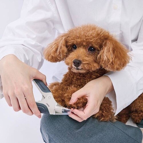 Petio 犬用爪切り FIXCARE 爪が飛び散らないカバー付 ネイルスライドカッター W27713_7
