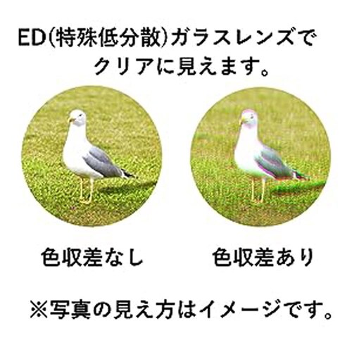 ED双眼鏡 S31050ED SIB25-1824 【時間指定不可】【代引不可】【同梱不可】_2