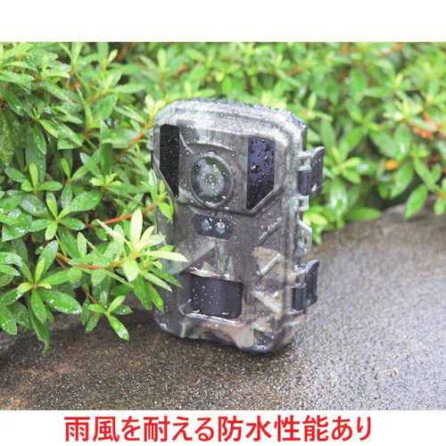 �ԊO�����l�B�e4K�J���� STR-MiNi800 TT800CM �y���Ԏw��s�z�y����s�z�y�����s�z_5