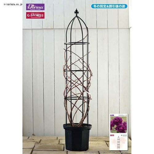 G-story オベリスク GSTR-RC14 ブラック 9122614│アイリスオーヤマ