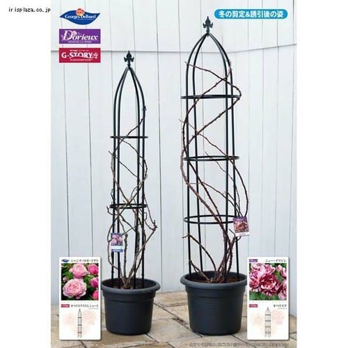 G-story �I�x���X�N GSTR-RC14 �u���b�N_5