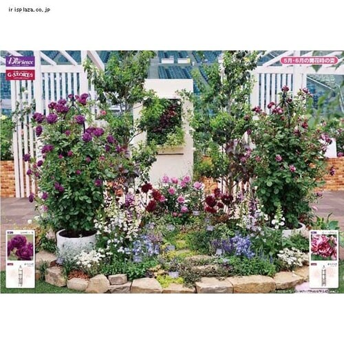 G-story �I�x���X�N GSTR-RC14 �u���b�N_6