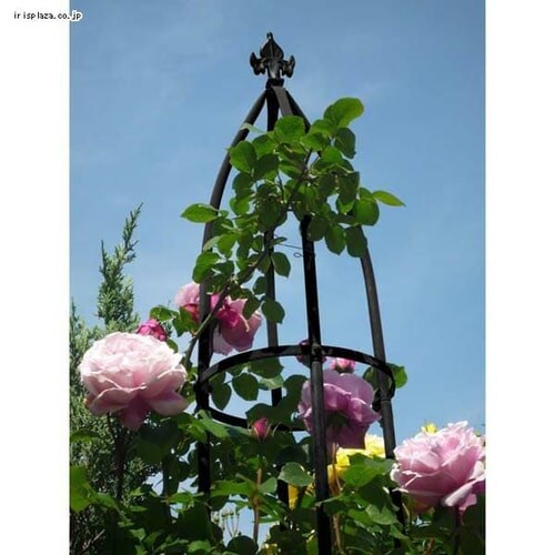 G-Story オベリスク スリム GSTR-RC15_5