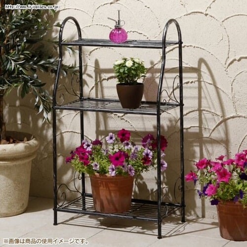 �t�����[�X�^���h3�i NPM-FS06_4