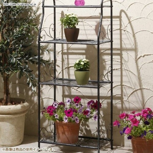 �t�����[�X�^���h3�i NPM-FS06_5