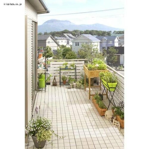 �t�����[�X�^���h3�i NPM-FS06_6