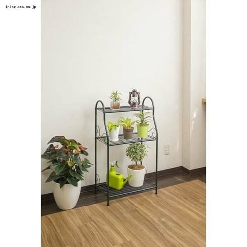 �t�����[�X�^���h3�i NPM-FS06_8