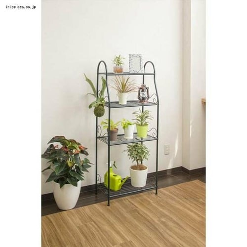 �t�����[�X�^���h3�i NPM-FS06_9