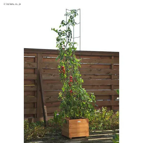 �E�b�h�f�R�v�����^�[ 300 WOP-S30 _10