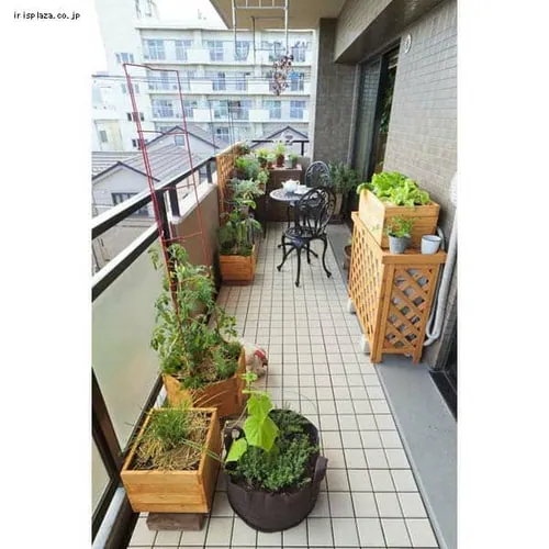 �E�b�h�f�R�v�����^�[ 300 WOP-S30 _15