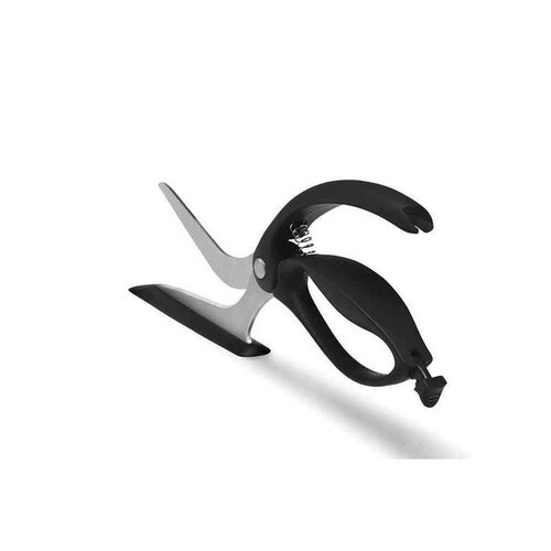 dreamfarm Scizza�s�U�V�U�[ �u���b�N_8