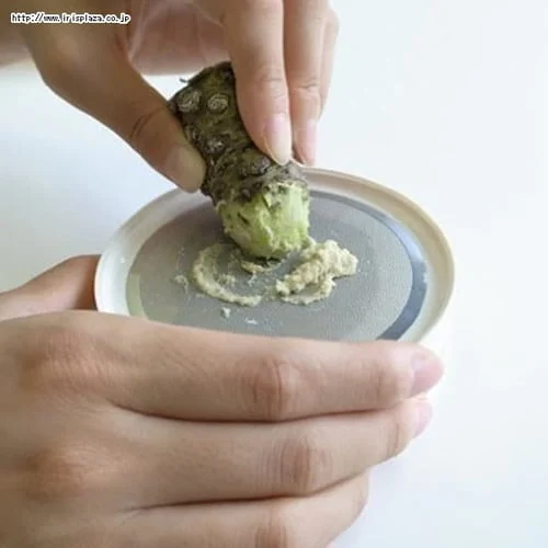 �y�L��z�Z���N�g100�@�򖡂��낵DH5704_3