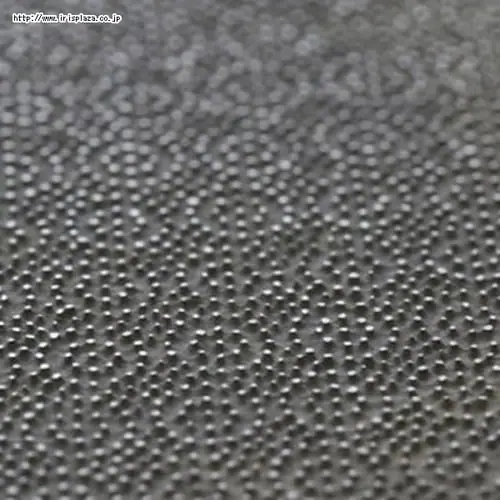 �y�L��z�Z���N�g100�@�򖡂��낵DH5704_5