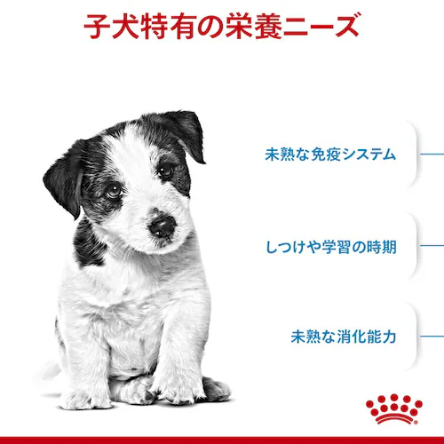 ロイヤルカナン 犬用 ミニ パピー 2kg SHN(サイズ ヘルス ニュートリション)rcdb51_2