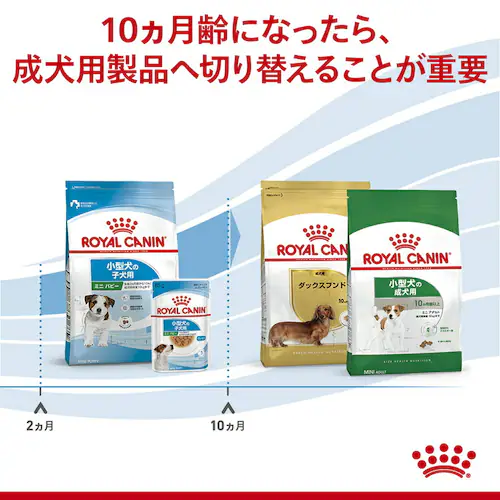 ロイヤルカナン 犬用 ミニ パピー 2kg SHN(サイズ ヘルス ニュートリション)rcdb51_5