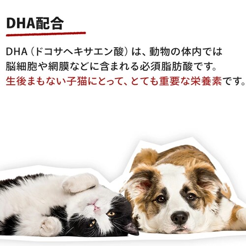 ロイヤルカナン 犬用 ミニ エイジング12+ 800g SHN(サイズ ヘルス ニュートリション)rcdb49_6